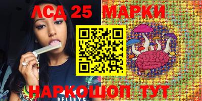 молекула духа Камышлов