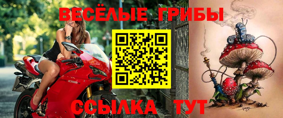 Галлюциногенные грибы ЛСД Лесосибирск