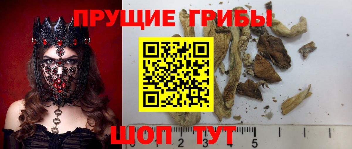 Псилоцибиновые грибы Magic Shrooms  Вход с VPN  Лесосибирск 